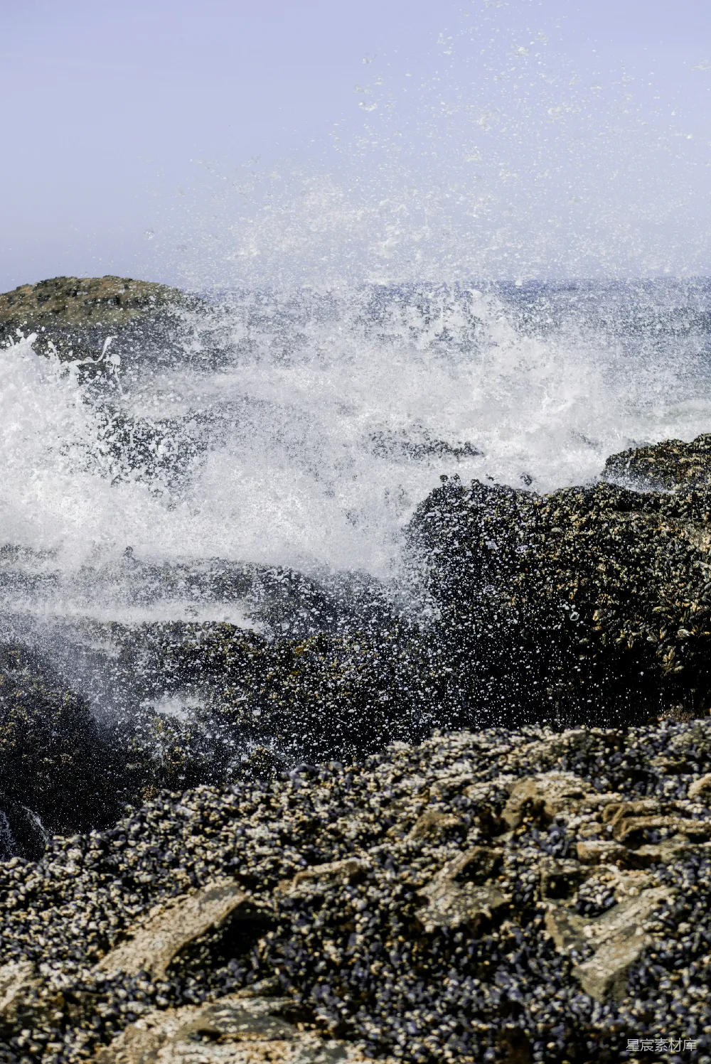 高清摄影 白天海浪在岩石海岸上拍打