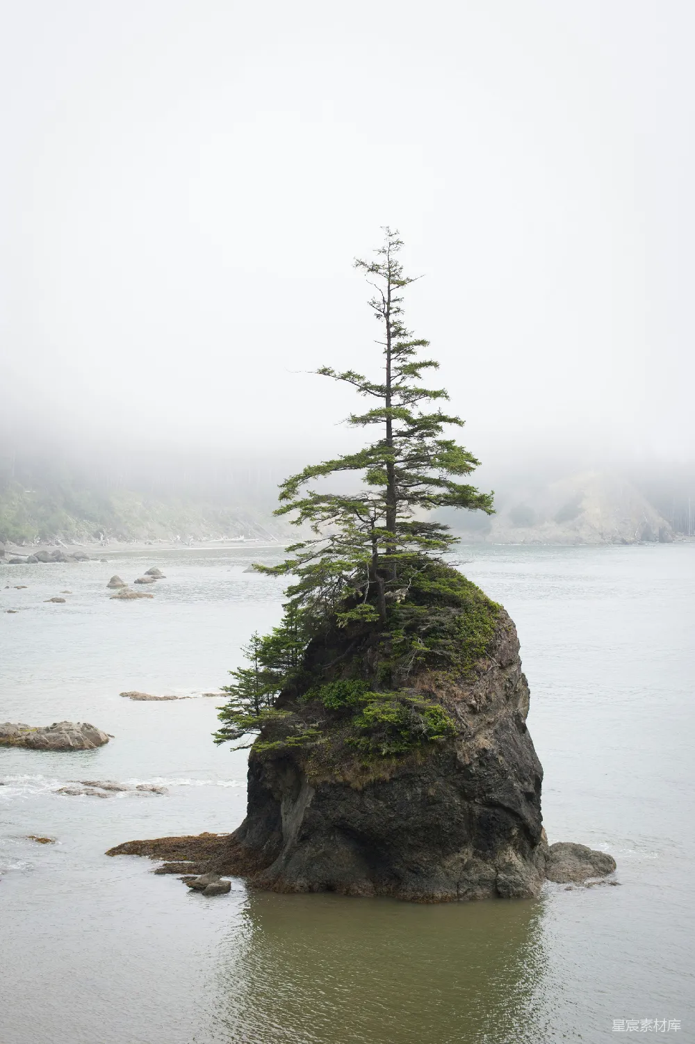 高清摄影 山顶上一棵松树，在水中的中央一块灰色的巨石旁边
