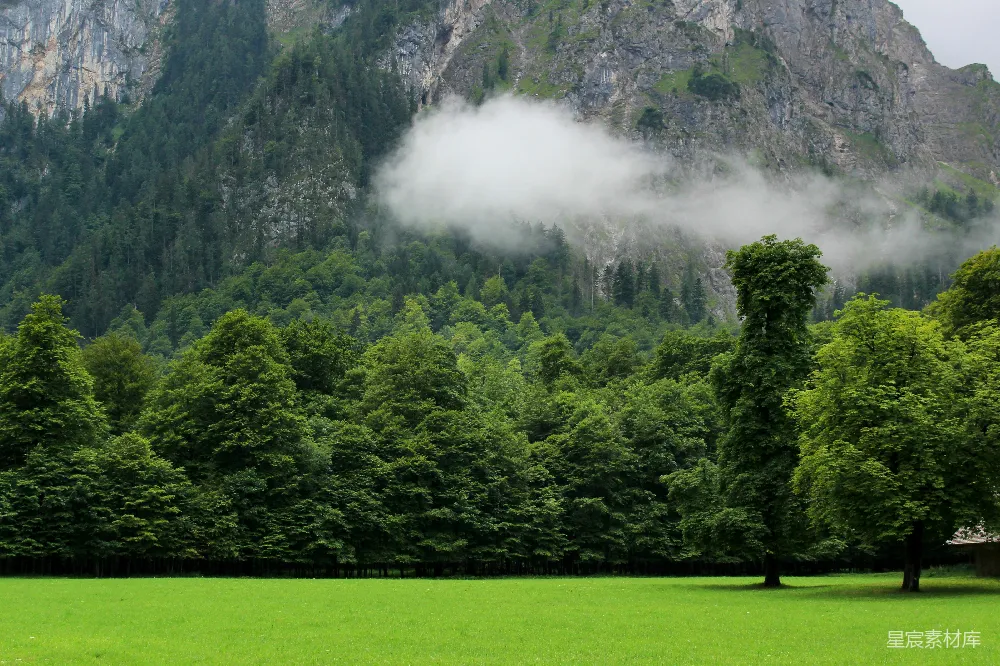 高清摄影 山前森林的风景摄影