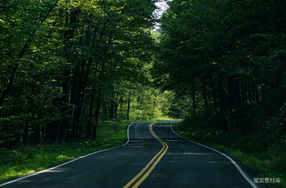高清摄影 森林中一条空旷的道路