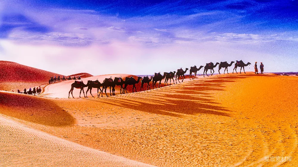 白天两名人员在沙漠中走在骆驼车队的前列