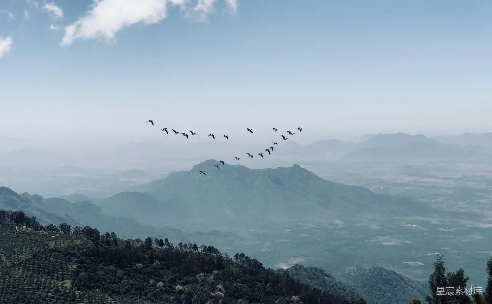 高清摄影 空中鸟群与山景