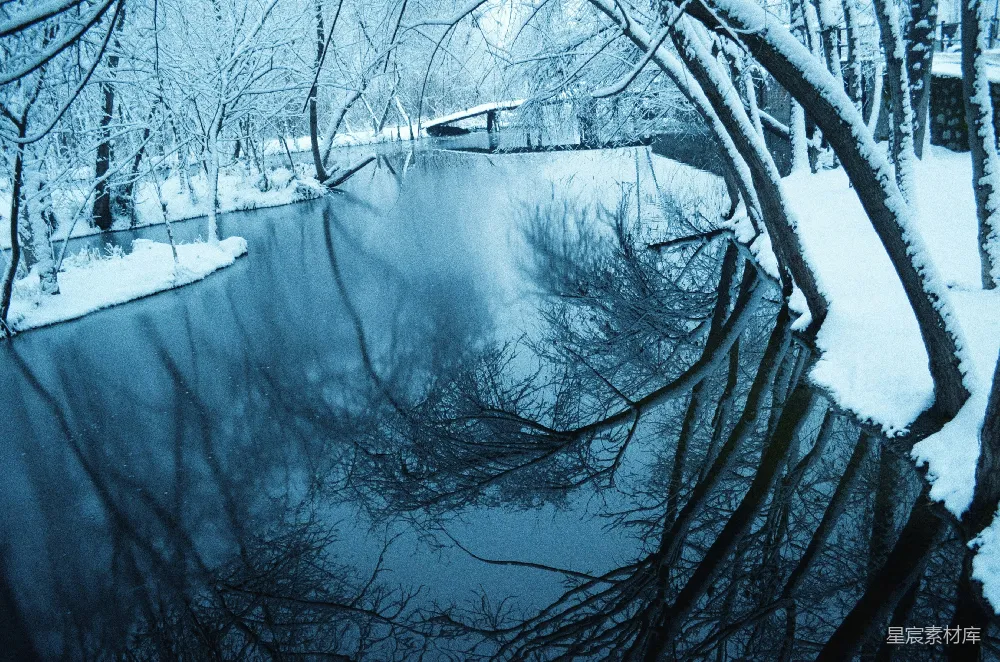 高清摄影  被雪覆盖的树木环绕的一片水域