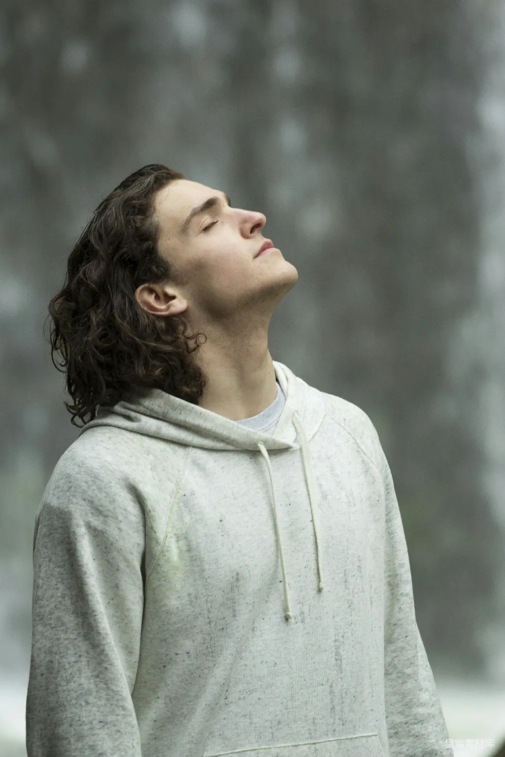 高清摄影 灰毛衣的男子闭眼时抬头凝视着前方