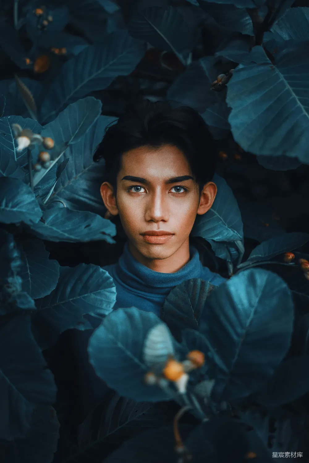 高清摄影 蓝衫男孩站在绿叶旁边