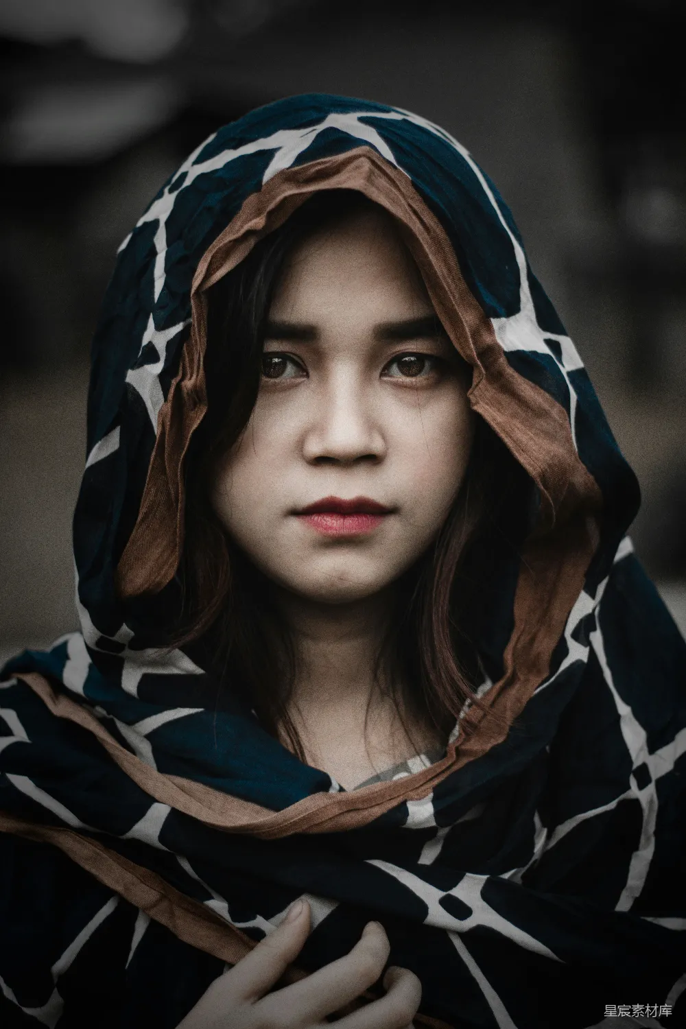 高清摄影 穿着黑色和棕色连衣裙的女人