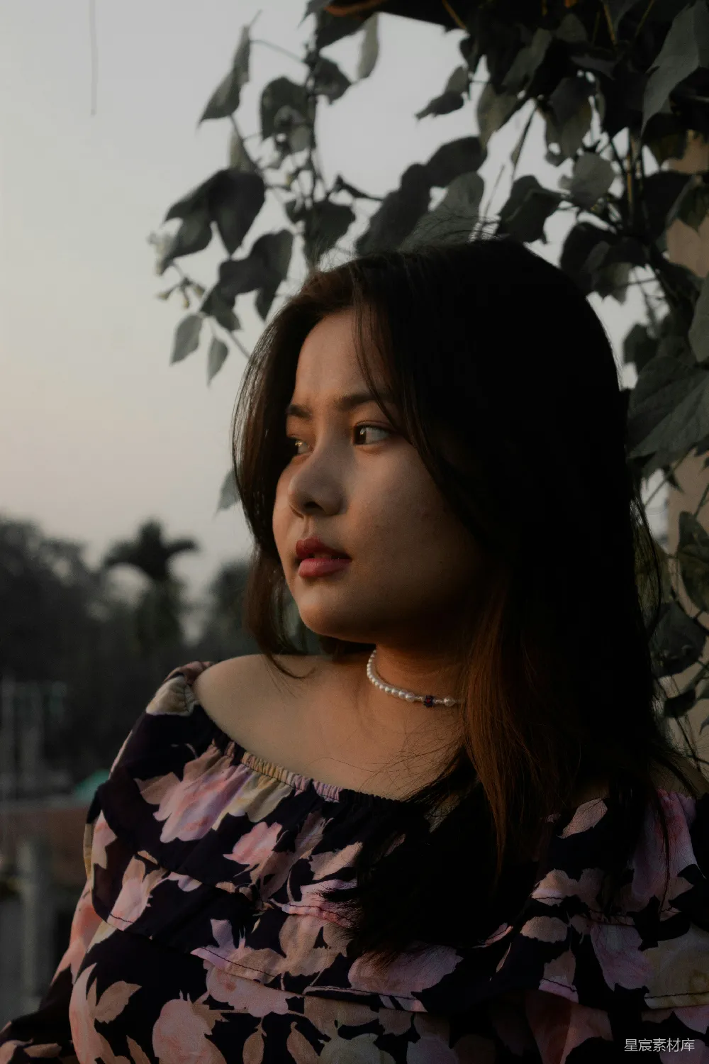 高清摄影  一个女人站在一棵有叶子的树旁边