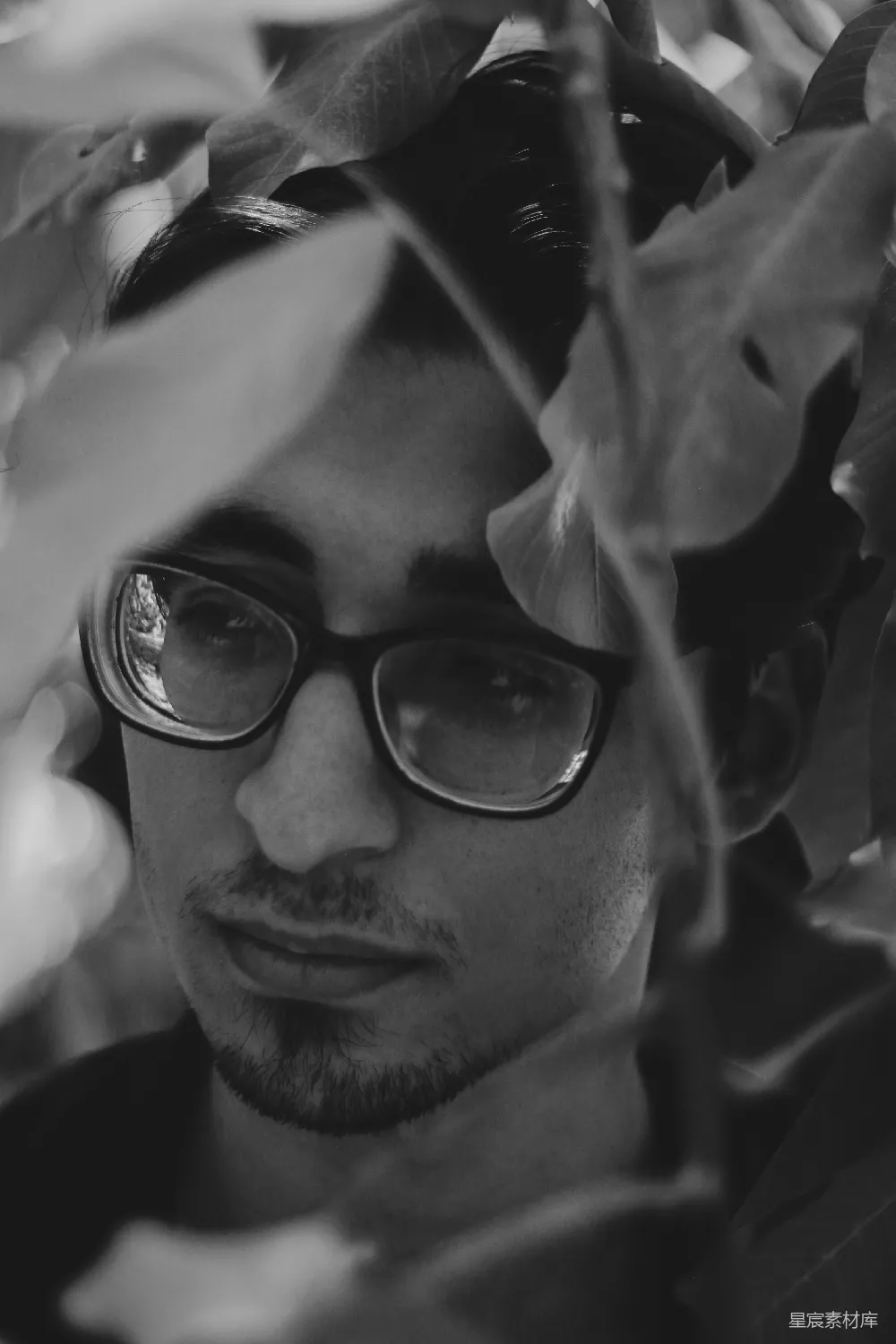 高清摄影 一个戴眼镜的男人站在树旁。