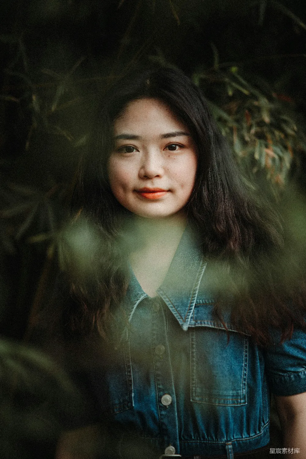 高清摄影 一个女人站在一棵树前