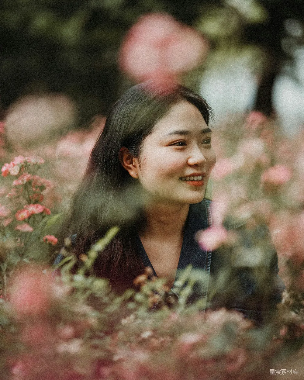 高清摄影 一个女子站在一丛花田中