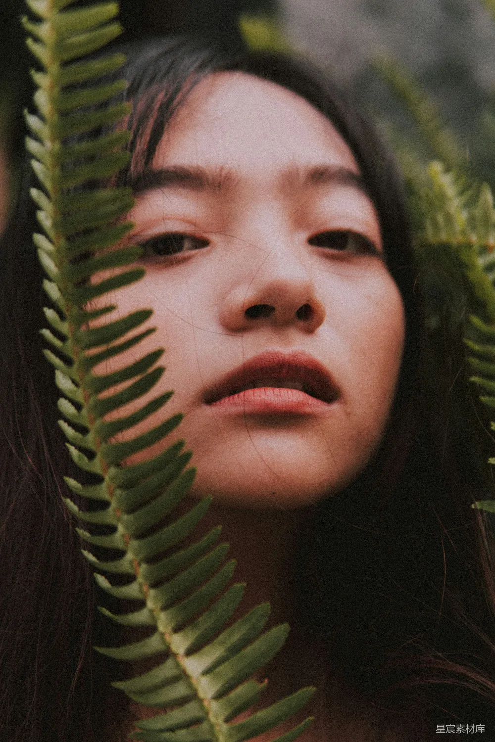 高清摄影 妇女的脸庞