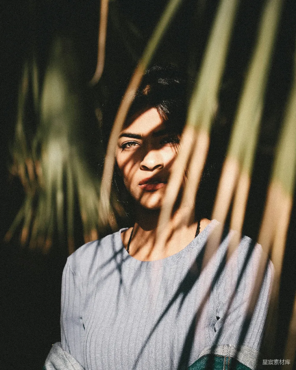 高清摄影 一个女人站在棕榈树前