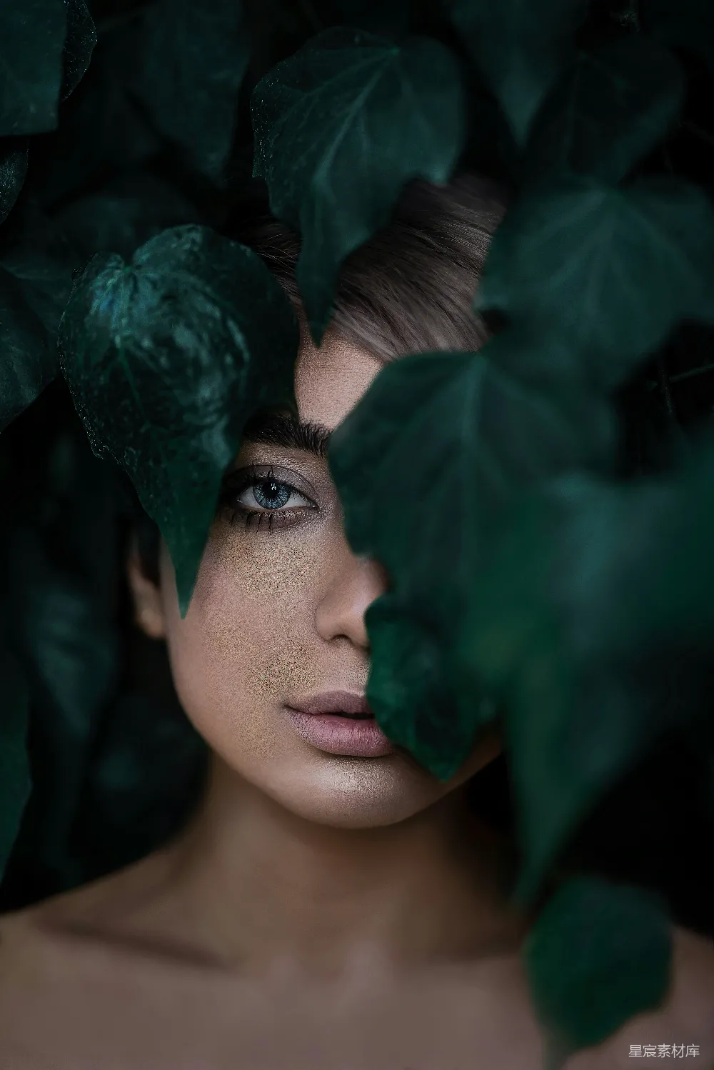 高清摄影 女人站在植物后面