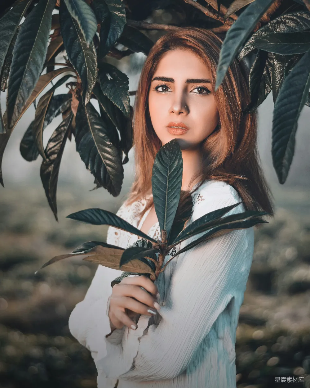 高清摄影 一个女人手里拿着一株植物。