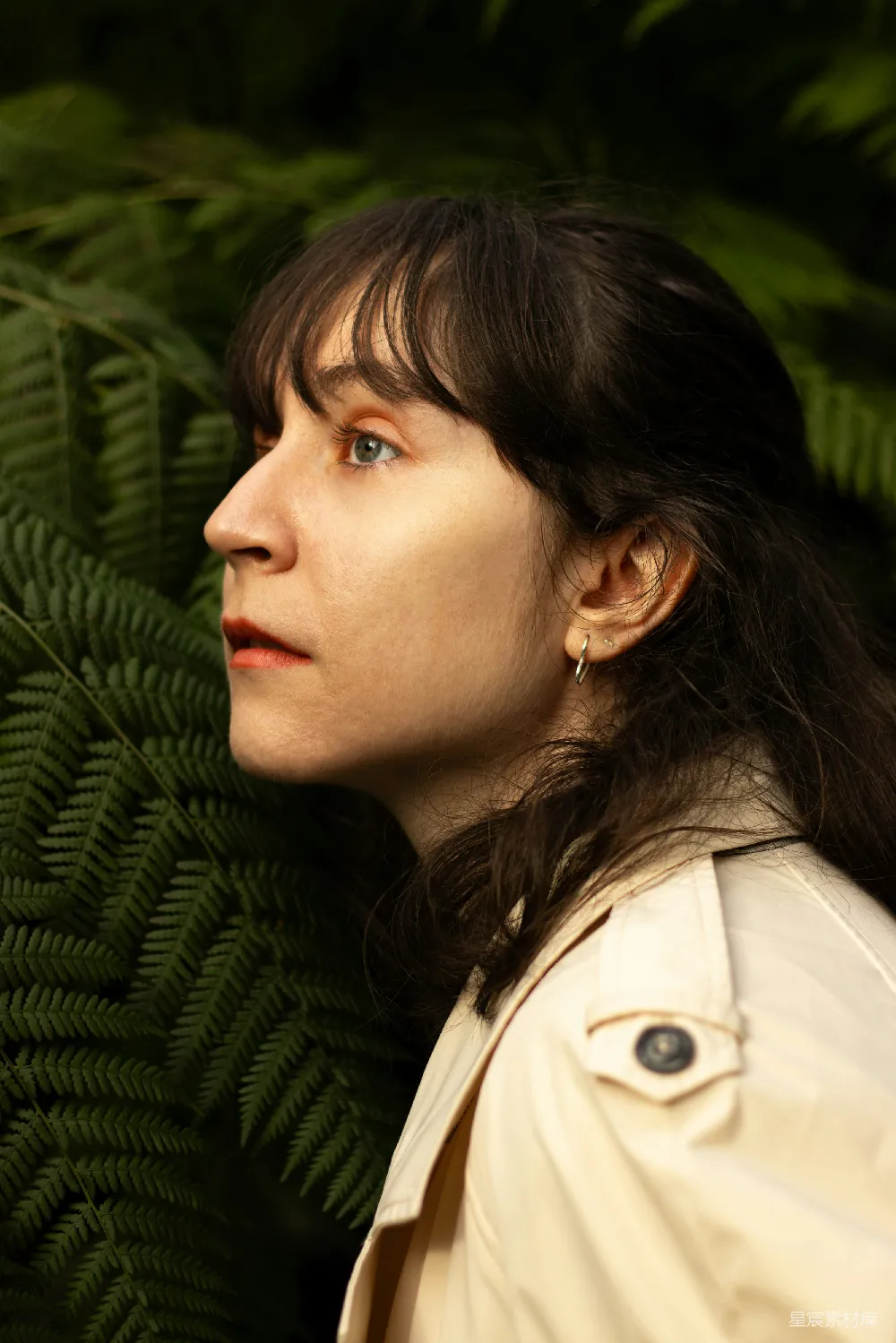 高清摄影 一个女人站在一盆绿色植物前面