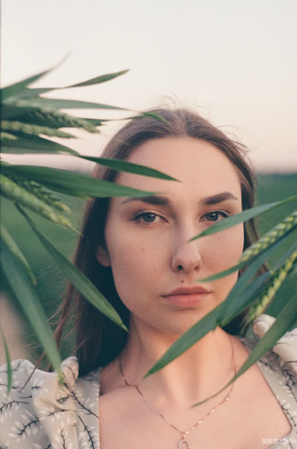 高清摄影 一个绿发的女人