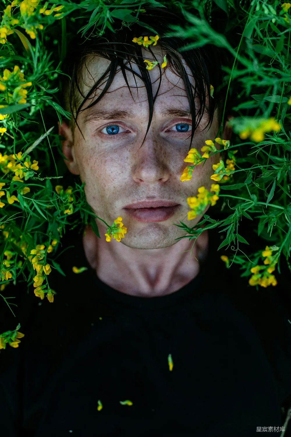 高清摄影 一个蓝眼睛的男人被黄色花朵围绕。