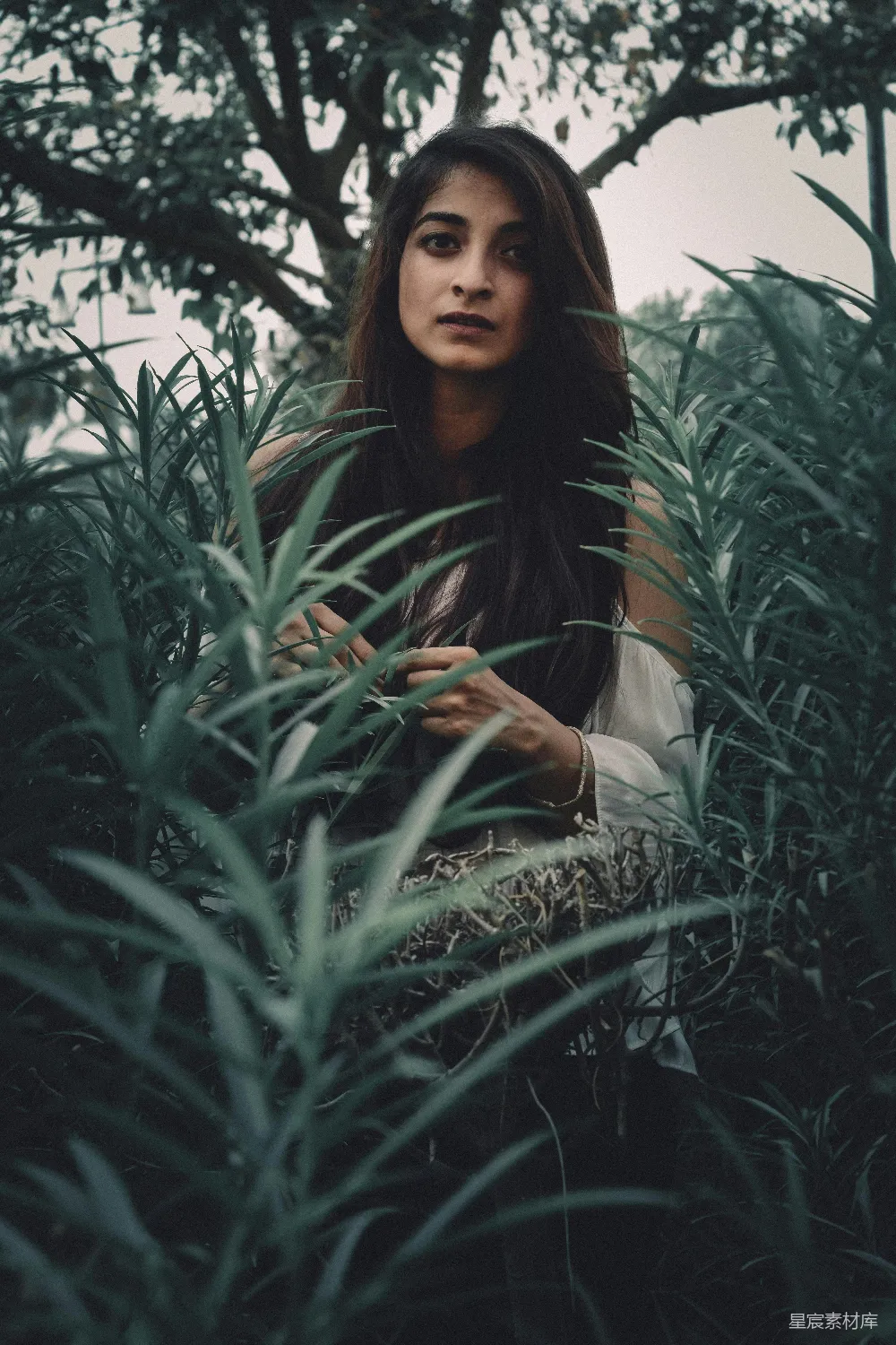 高清摄影 女人大步站在绿色植物之间