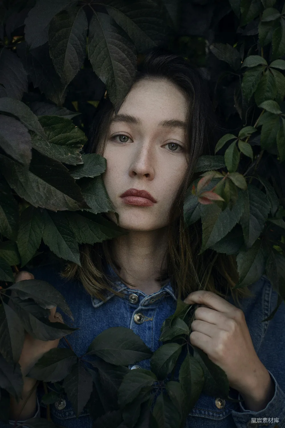 高清摄影 蓝 denim 半高领毛衣的女士