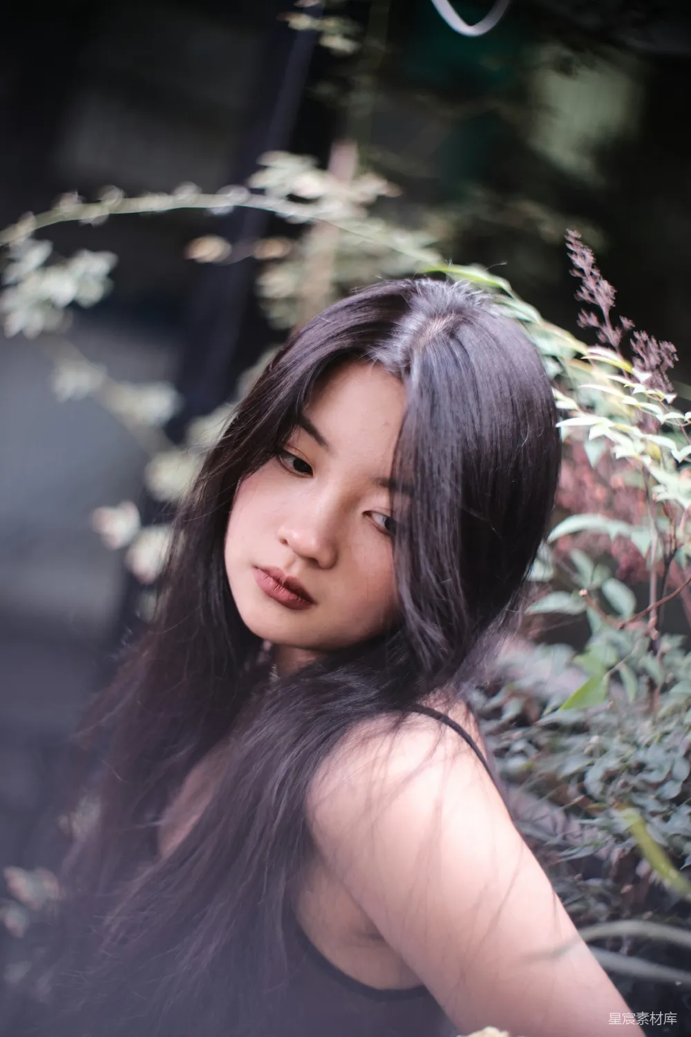 高清摄影 一头长发的女子站在灌木丛旁