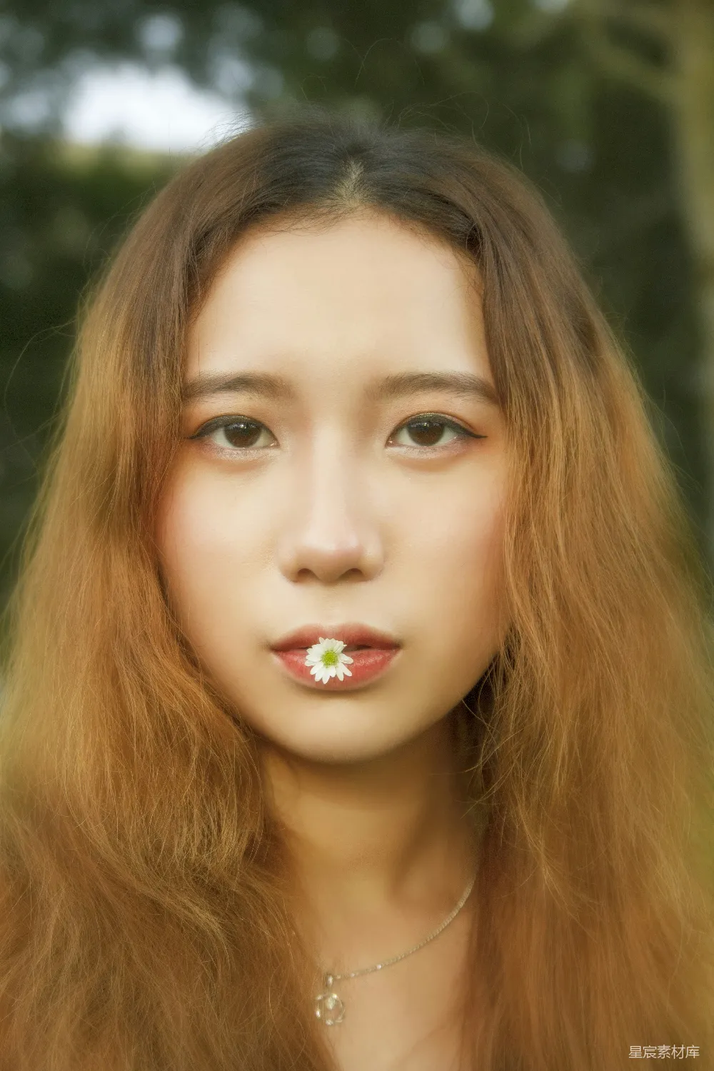 高清摄影 人物 自然 一头长发的女人，口中含着一朵花