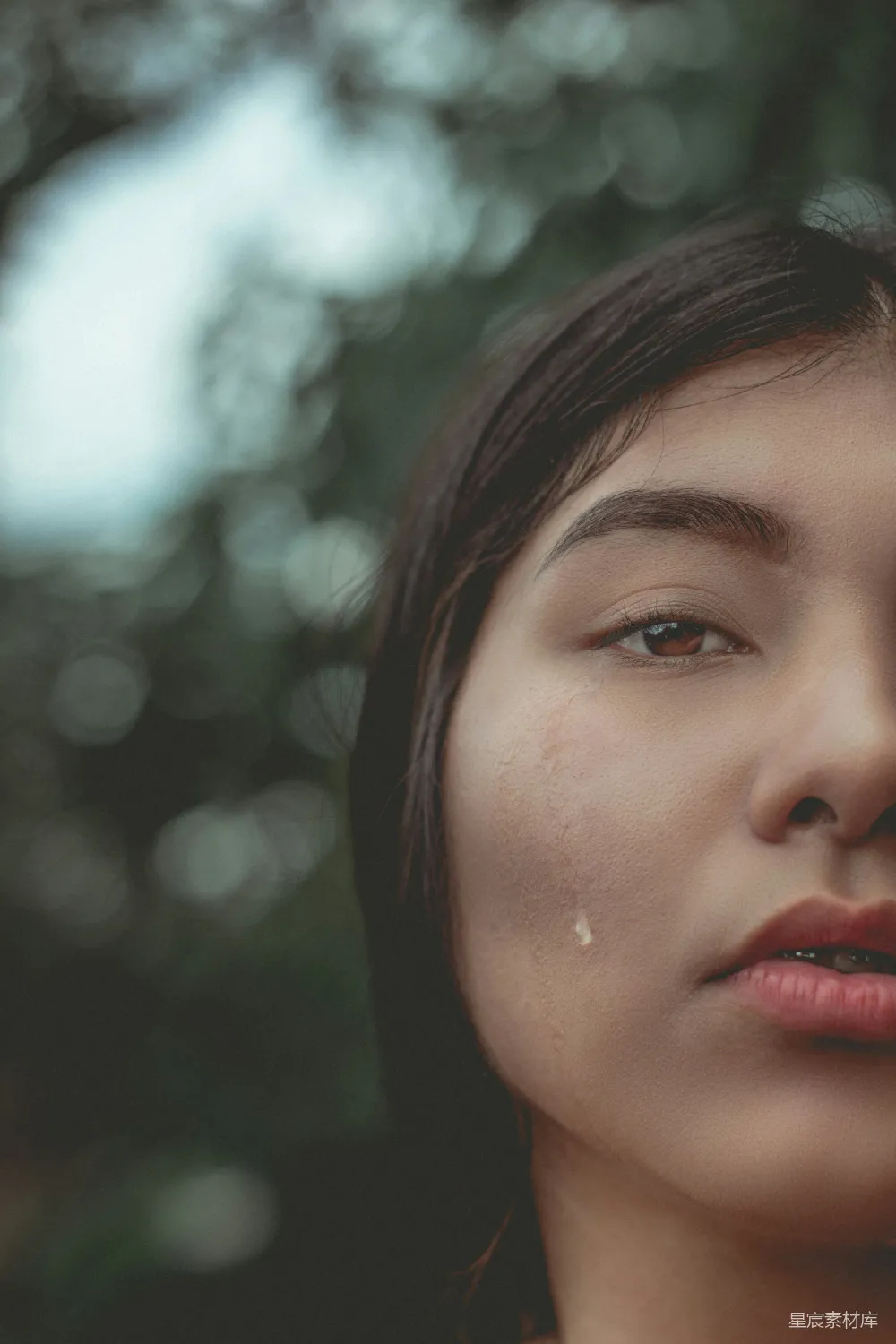 高清摄影 女人面部的特写摄影