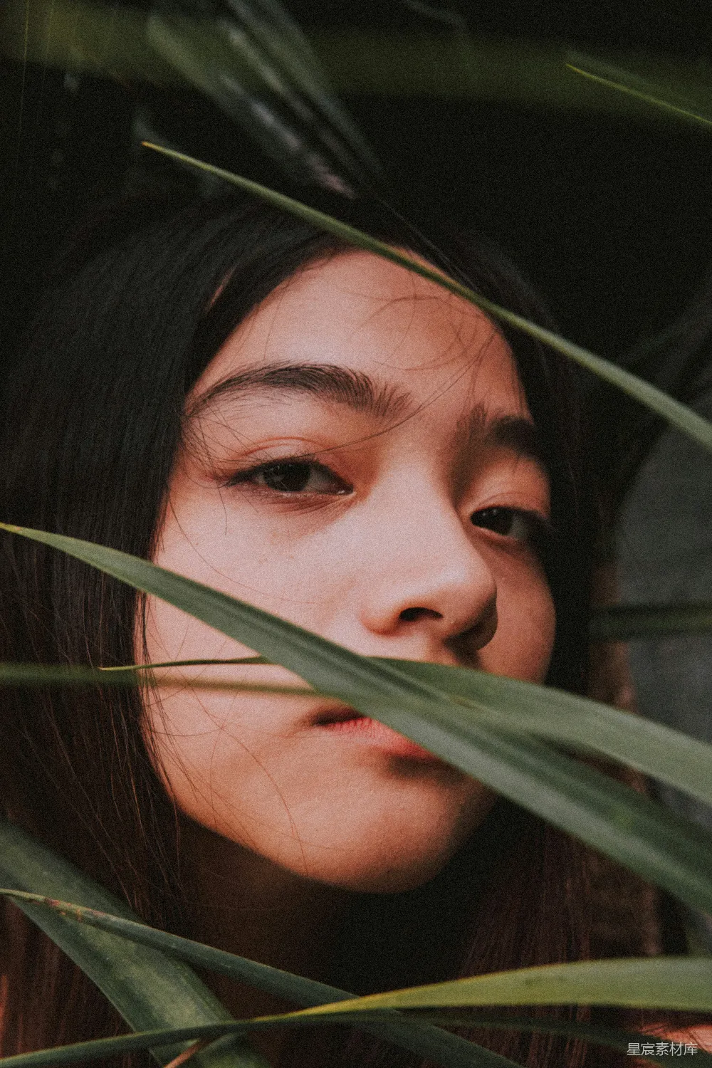 高清摄影 草丛后的女人