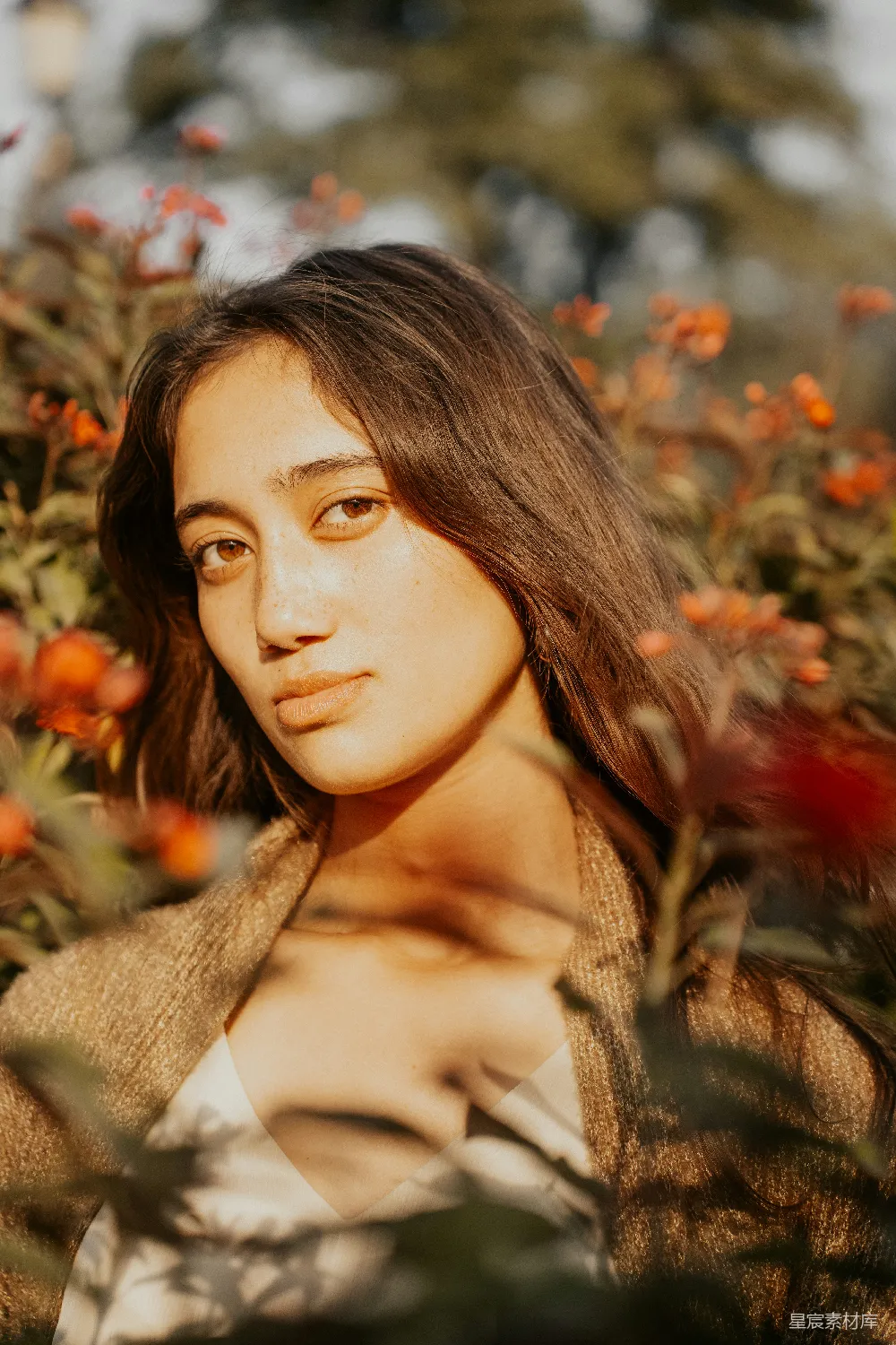 高清摄影 一个妇女站在一丛鲜花中