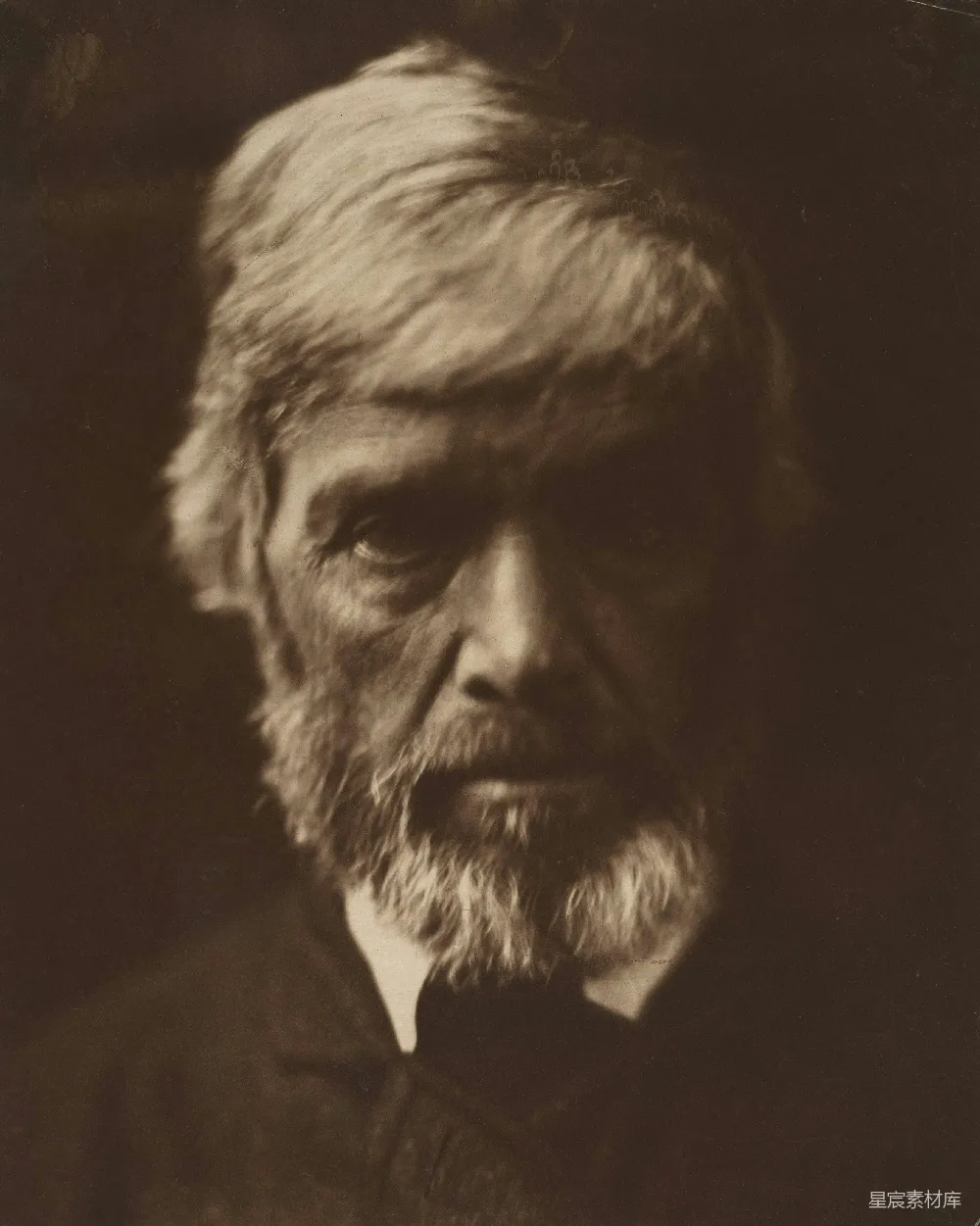 高清摄影 一个留着胡子、头发较浅的男人正朝前看。