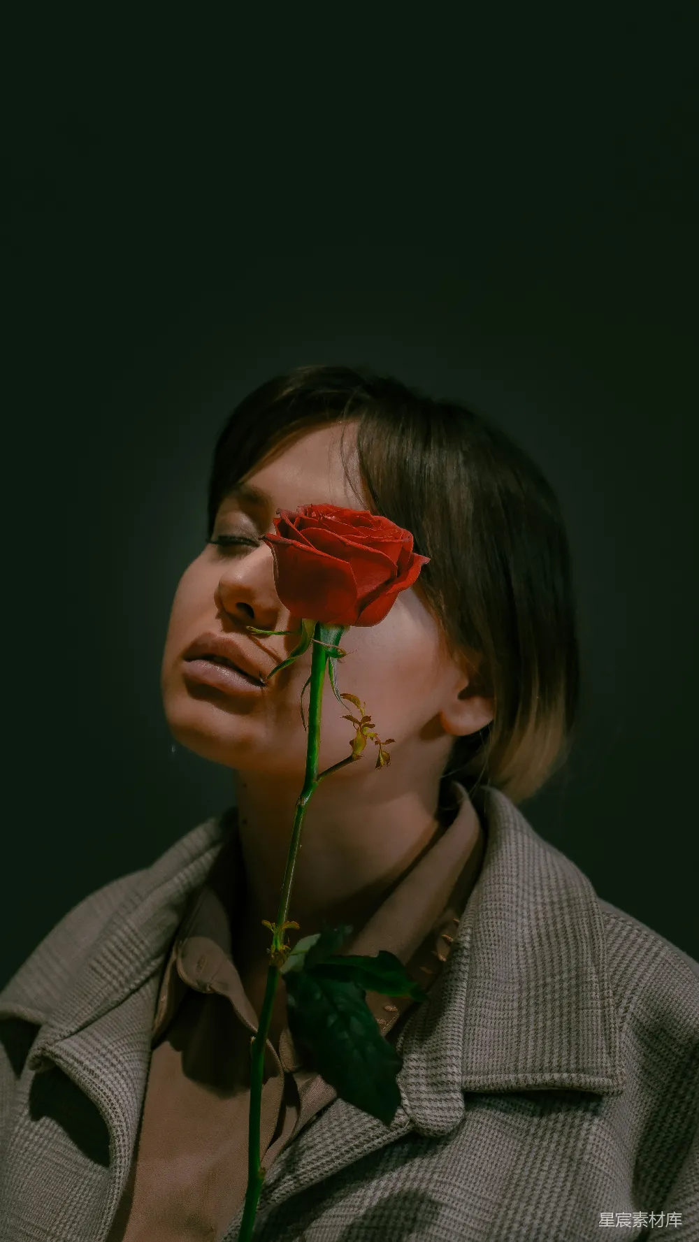 高清摄影  灰白条纹长袖上衣的女人正拿着一朵红玫瑰。