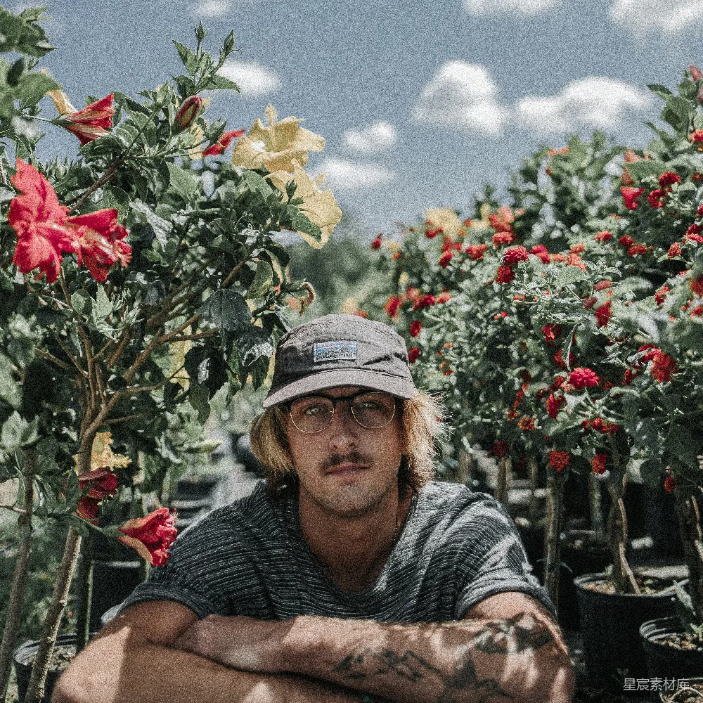 高清摄影 白天，男士坐在 Hibiscus 花朵附近的地上。