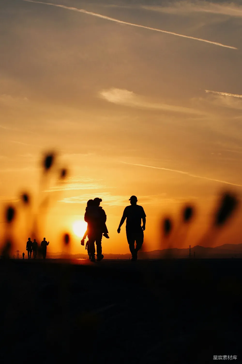 高清摄影 夕阳下人们站在田野中的轮廓