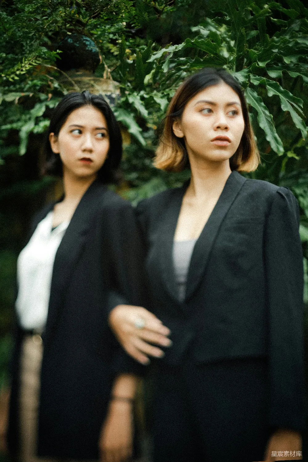 高清摄影 黑色连衣裙的女人站在绿色叶子植物旁边