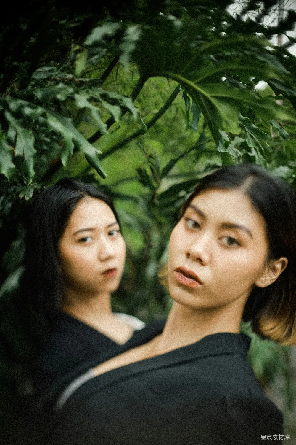 高清摄影 黑色上衣的女人站在绿色植物旁边