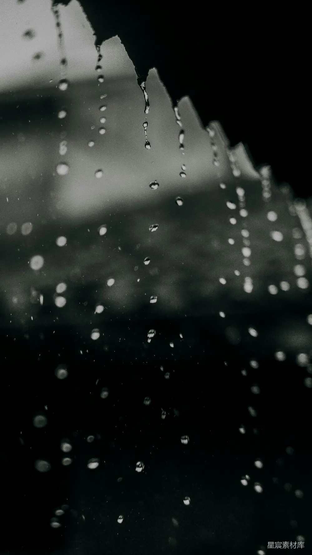 高清摄影  黑白照片中的雨滴落在窗户上