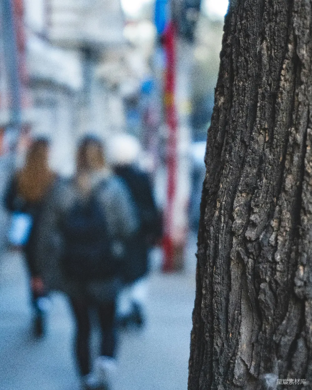 高清摄影 一群人走在路边一棵树的旁边走着