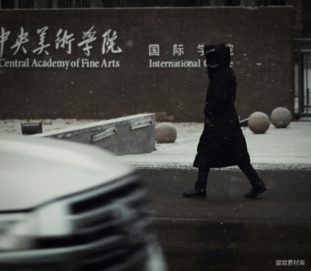高清摄影 街上一位妇女在雪中行走