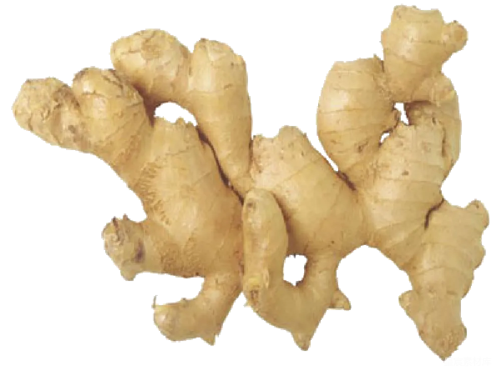 元素素材 PNG