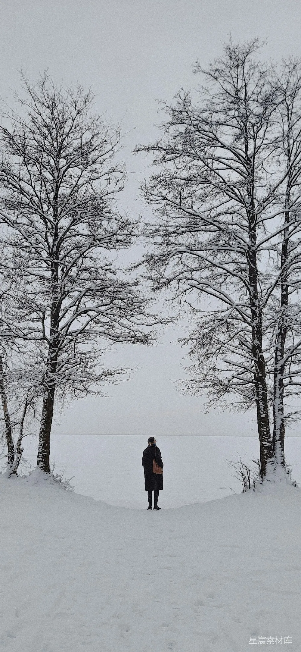 高清摄影 人物 一个人站在两棵树之间，雪中