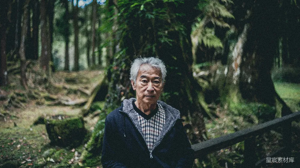 高清摄影 人物 穿着夹克的男人站在树下室外