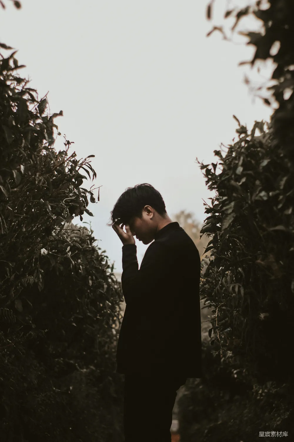 高清摄影 人物 黑色西装男子站在绿植旁的白天