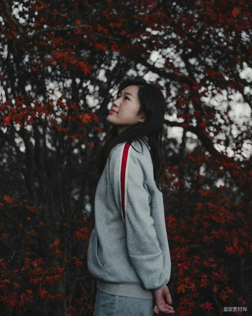 高清摄影 人物 一个女人站在一棵红叶树前