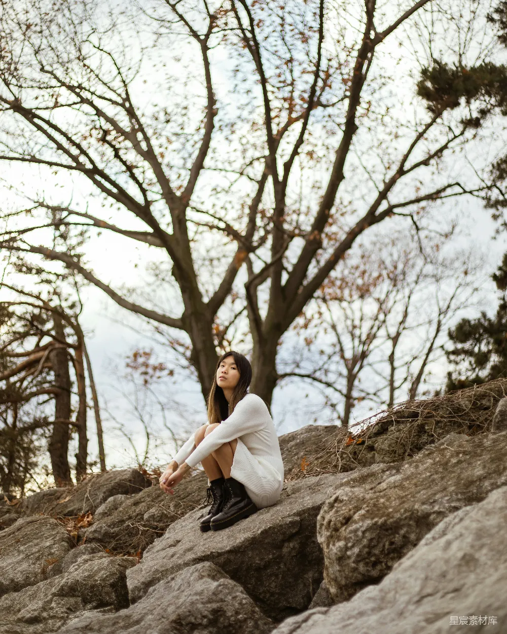 高清摄影 人物 一个女人坐在一块石头上，旁边是一棵树。