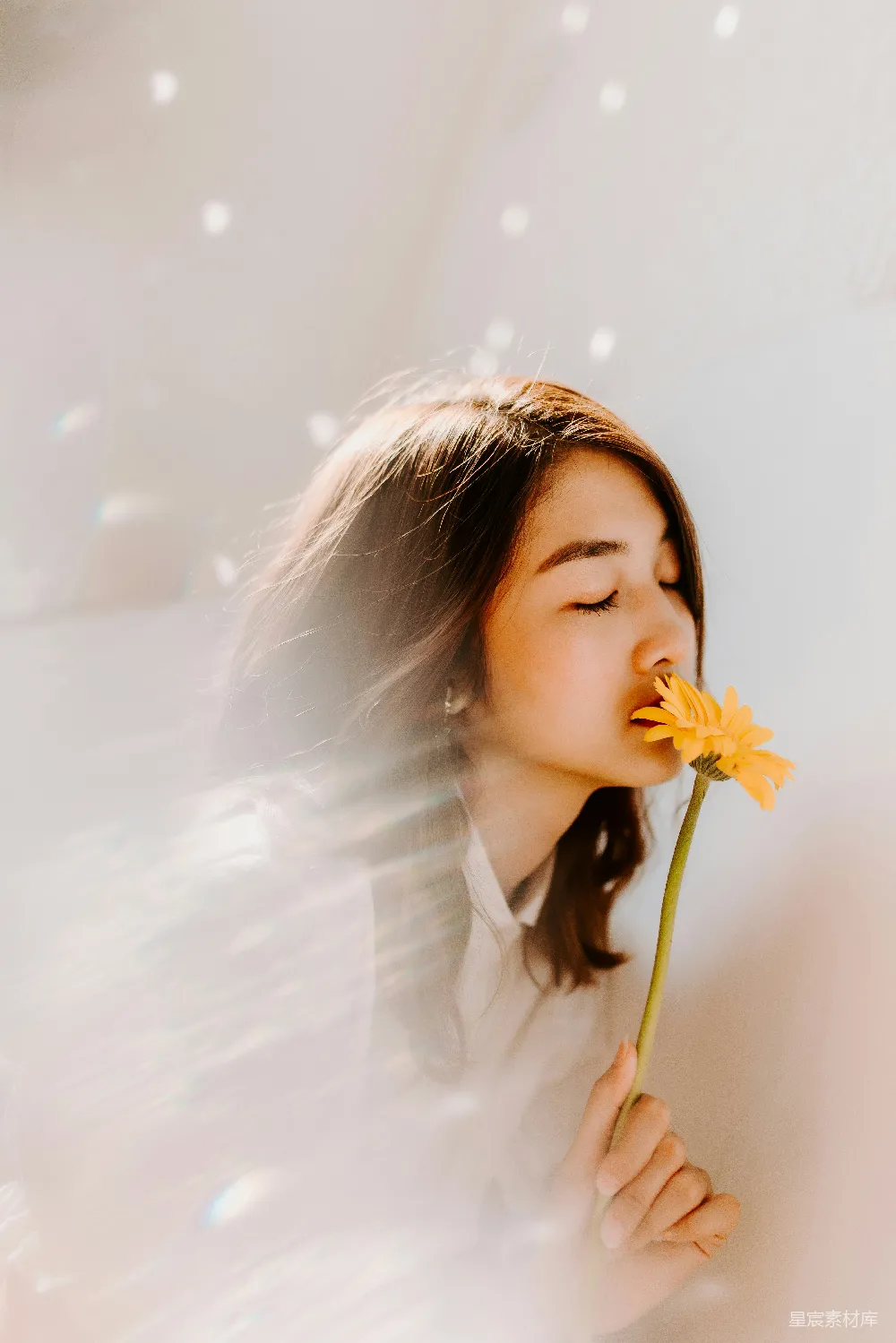高清摄影 女人在黄色的花上嗅香