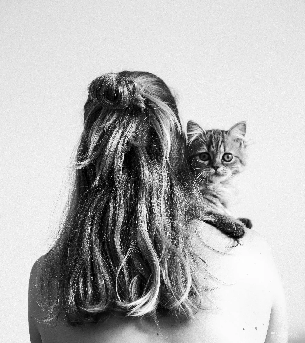 高清摄影  灰度照片中的妇女抱着一只小猫