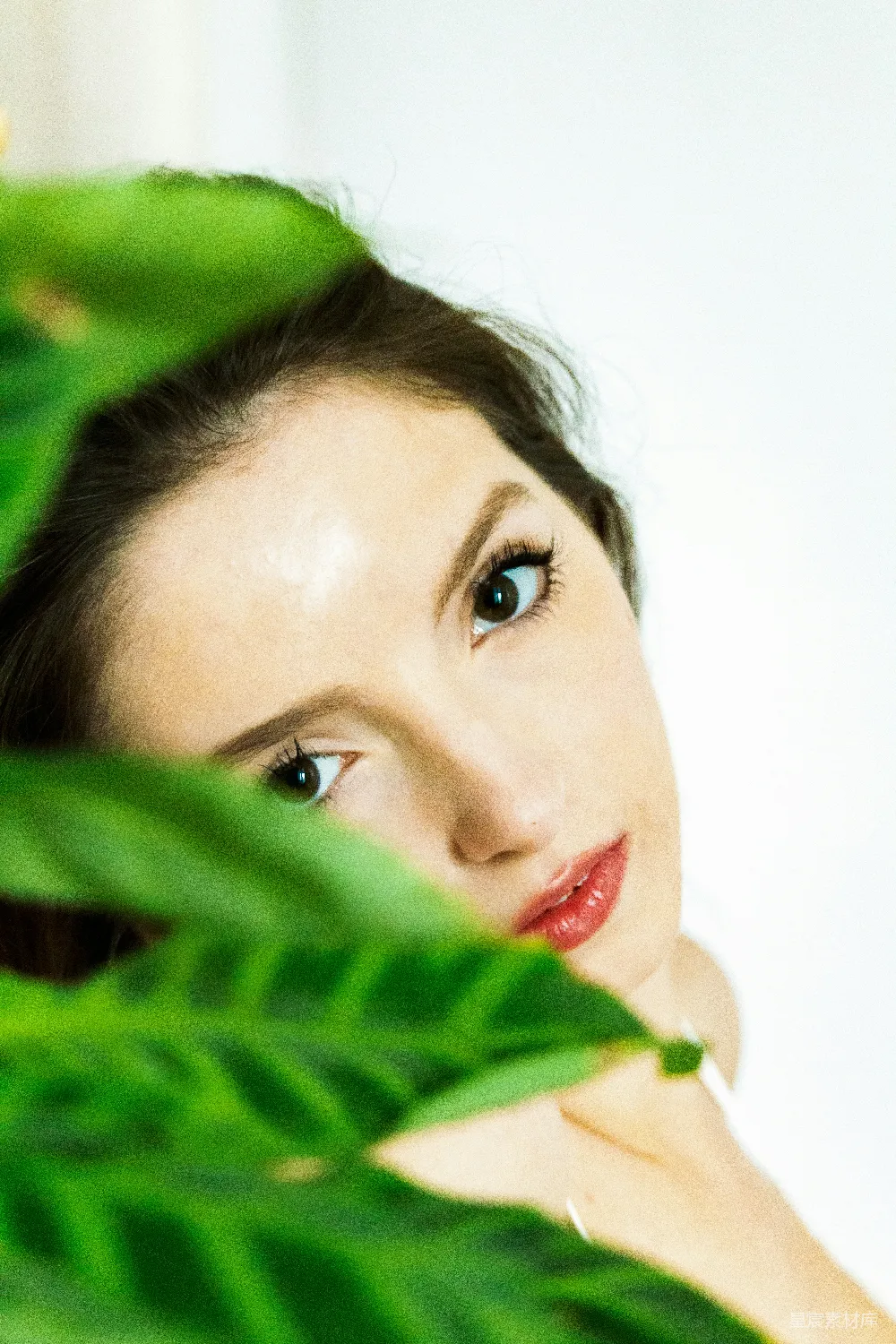 高清摄影 人物 一个蓝眼睛的女人和一盆绿植物