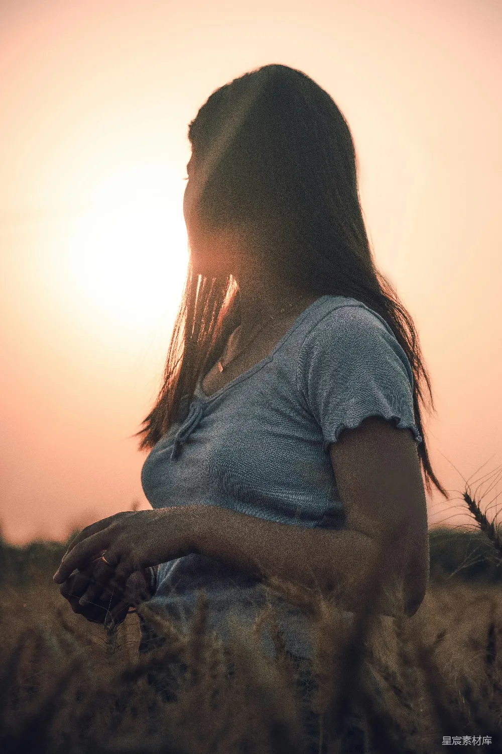 高清摄影  夕阳下，一位女子坐在麦田里。