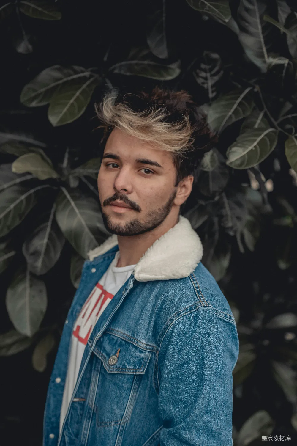 高清摄影  蓝 denim 衬衫衣领男