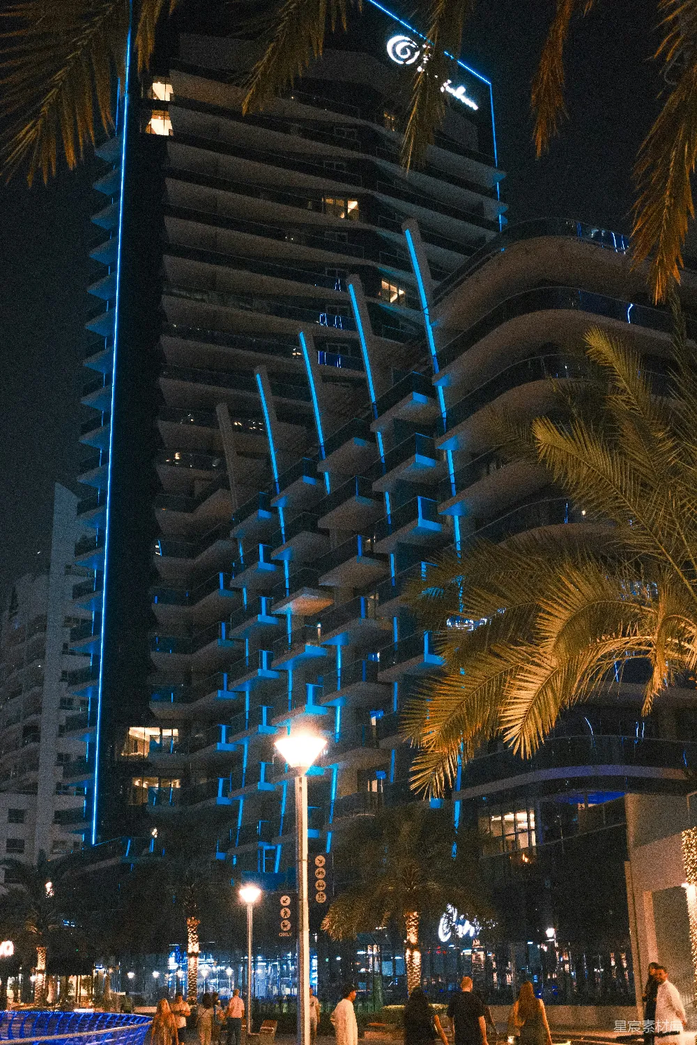 高清摄影  一座高大的建筑紧挨着一棵棕榈树。