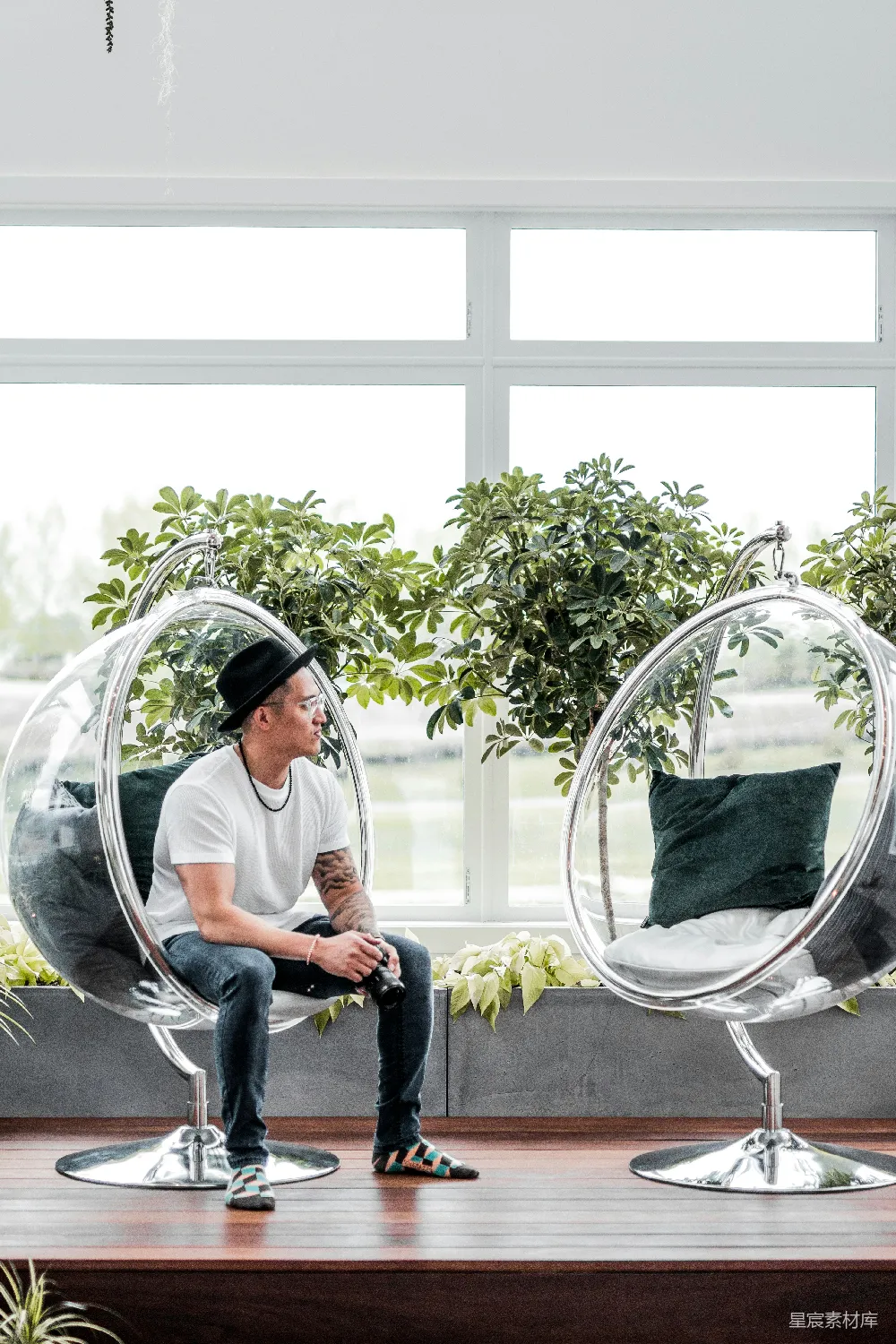 高清摄影 现代设计 透明泡泡椅 室内场景 现代设计中的透明泡泡椅
